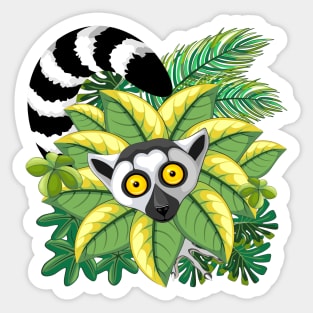 Lemur Ring Tailed, a.k.a. Lemur Catta of Madagascar Sticker